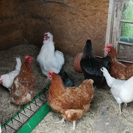 Urlaub Auf Dem Bauernhof Διαμέρισμα *