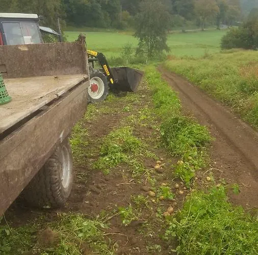 Urlaub Auf Dem Bauernhof Lejlighed *