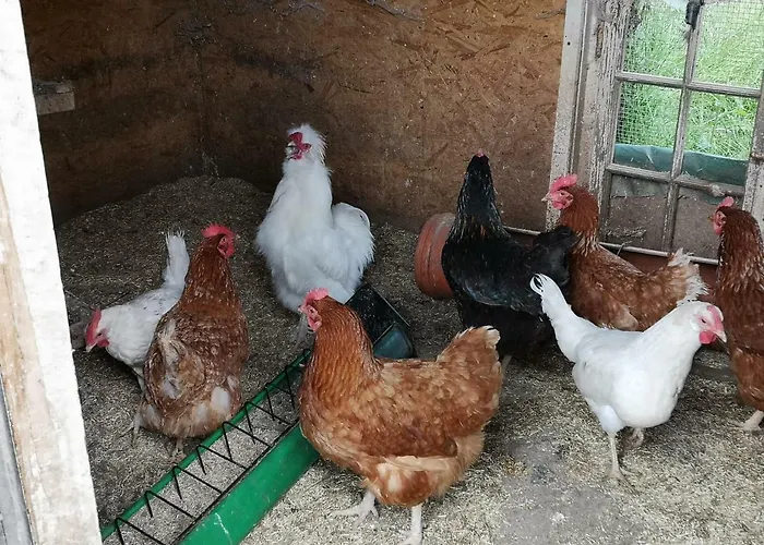 Urlaub Auf Dem Bauernhof Lejlighed *