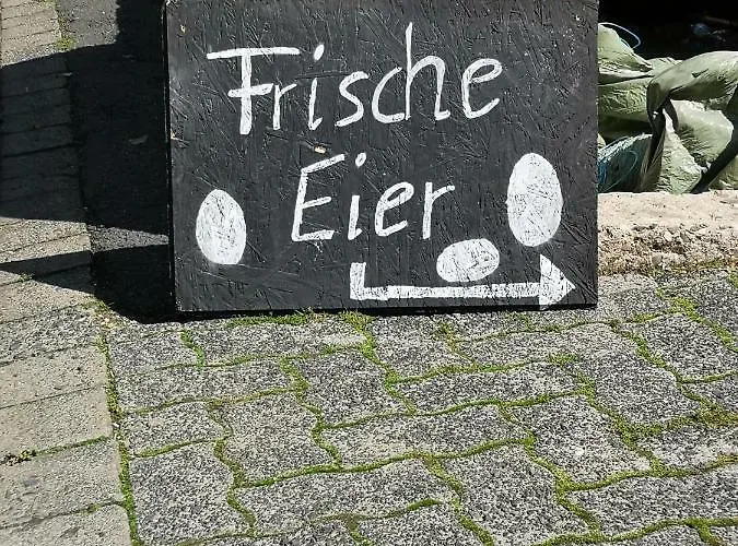 Lejlighed Urlaub Auf Dem Bauernhof Netphen